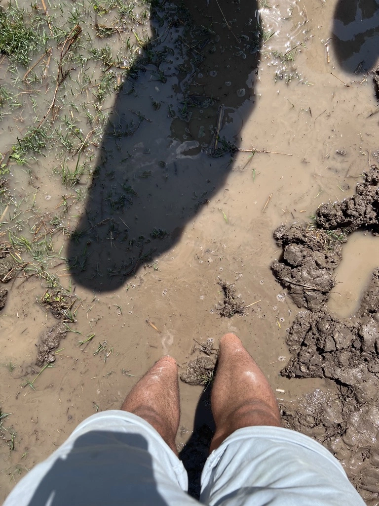 Seyahatinizde Gönüllü Olmak İçin 9 Neden