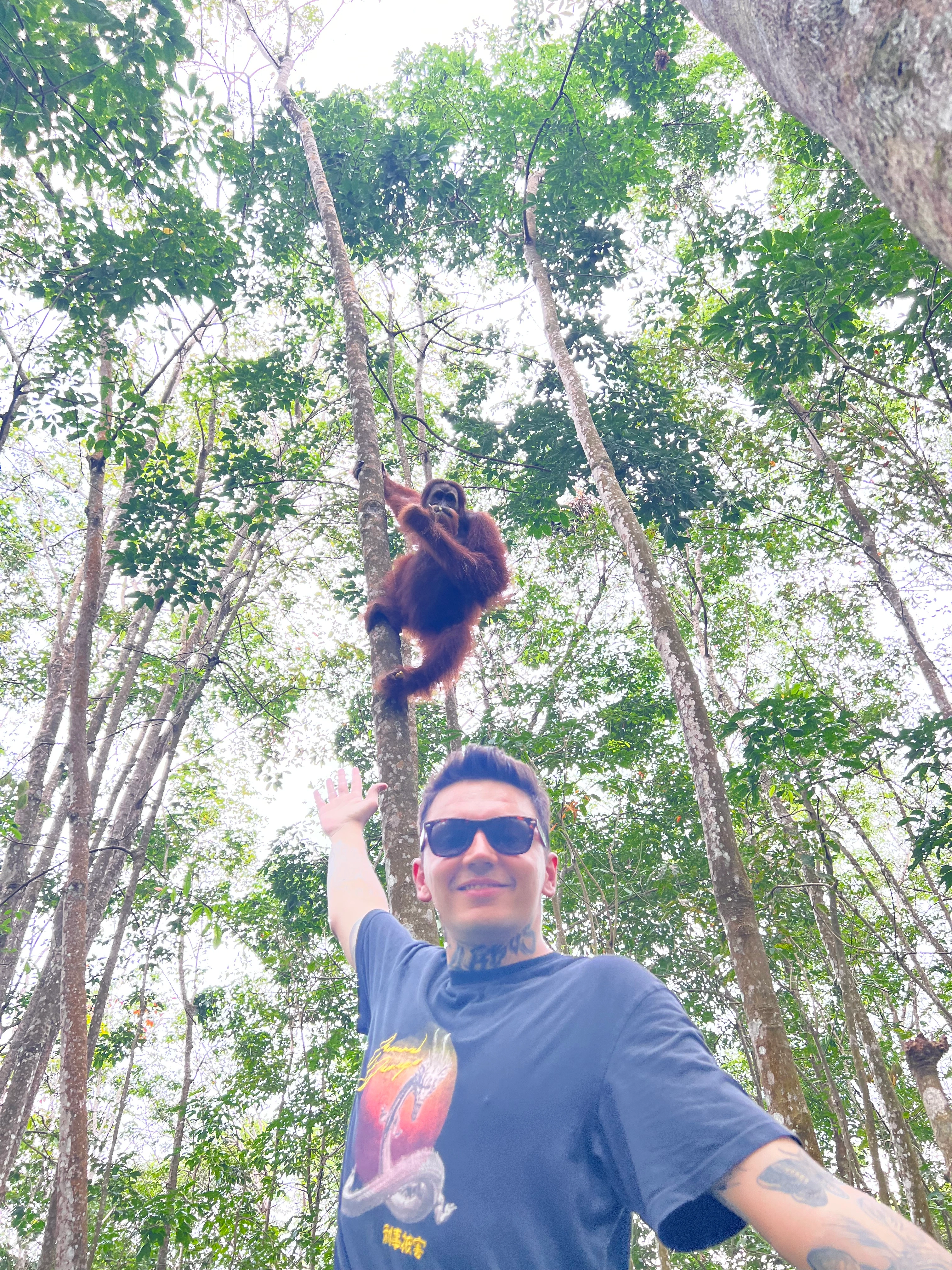 Sumatra Seyahat Rehberi: Adım Adım Sumatra | 2025 Güncel Bilgiler